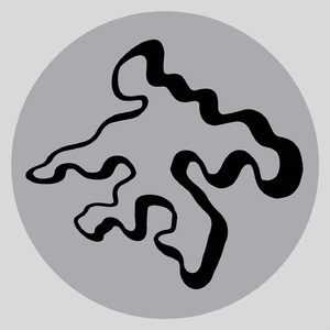 免费看无码网站成人A片
