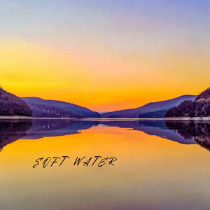 免费看无码网站成人A片
